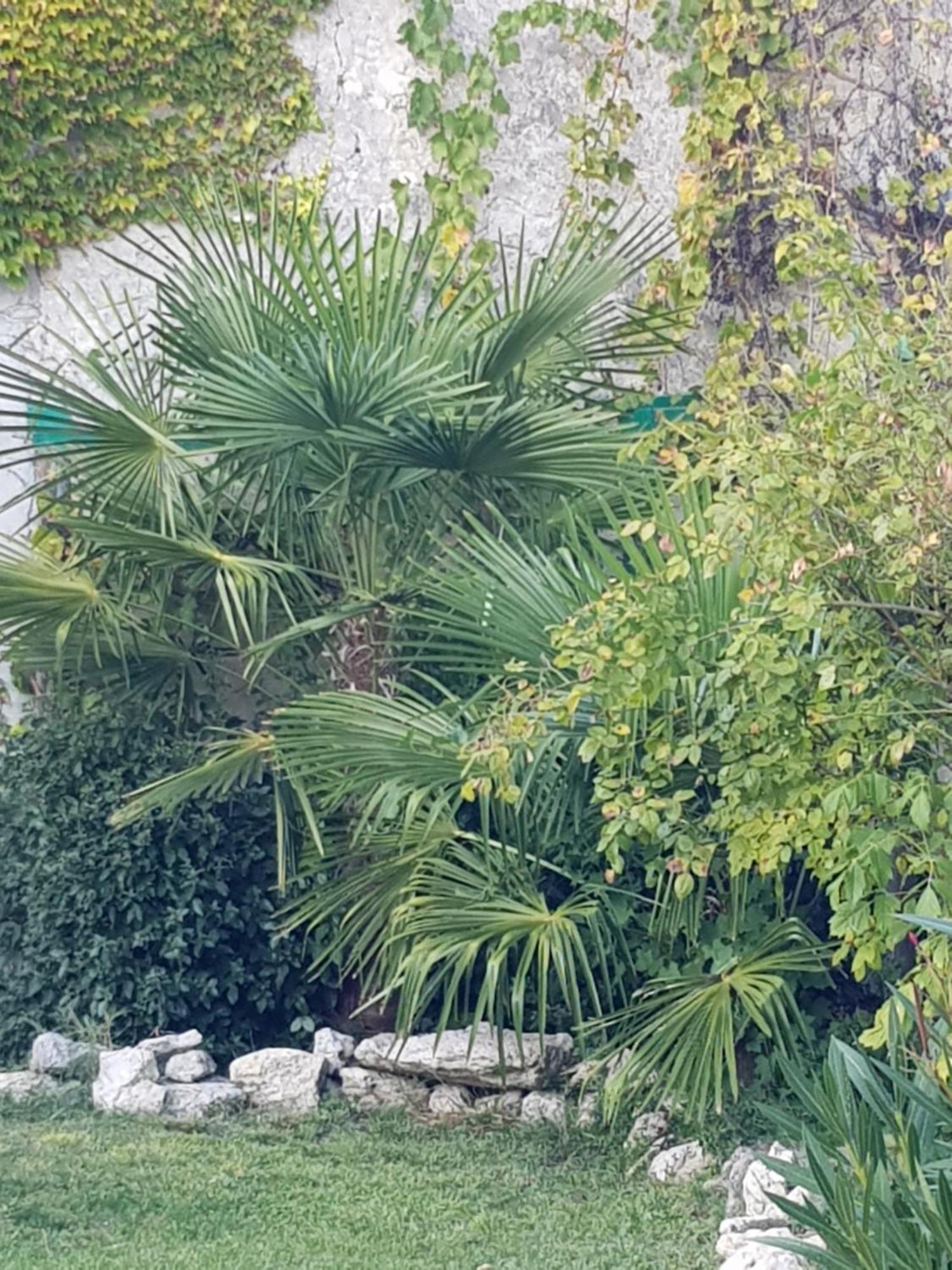 La Maison Malabar Villefranche-du-Queyran Exterior foto